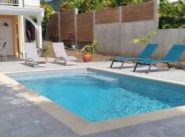 972A - Magnificent ground floor with swimming pool