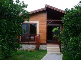 Villa Bilge, camping resort en Çıralı