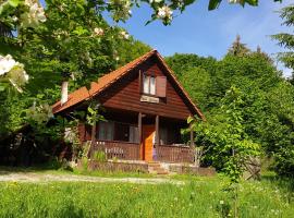 Casa Lacramioara: Sâmbăta de Sus şehrinde bir tatil evi