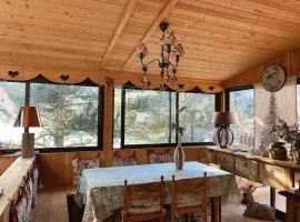 Aux trois marmottes - Chalet au pied des pistes