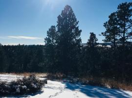 Priceless Black Hills View, cottage in Rapid City