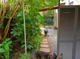 33 on Smuts Selborne