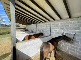 Finca con caballos para 10 personas en Envigado