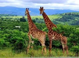 Rocky Valley Game Lodge