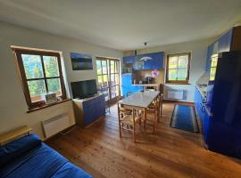 Top location ski-to-door two-bedroom apartment, hotel v destinaci Bach