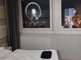 Big Wheel Panoramica Apartment