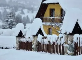 ZAKOHOME Dom Banysiówka