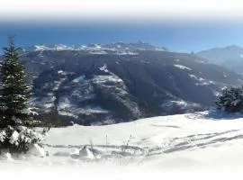 Une sensation japonaise au coeur de la Savoie !