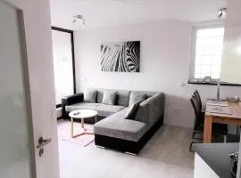 Ferienwohnung Eagle Nest in Winterberg