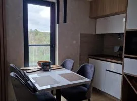 Apartment Ornament Lux