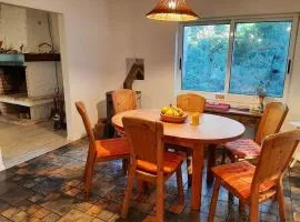 Große Wohnung mitten im Park