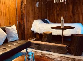 Ami lodge CAMINO Termas de Chillan, ξενοδοχείο σε Chillan