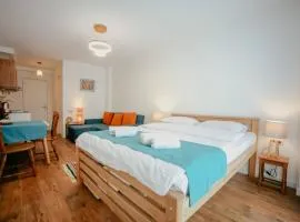 New Gudauri Gondola, Ski in ski out, Loft 1 Apt with mountain view balcony