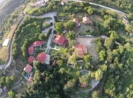 Tzivaeri