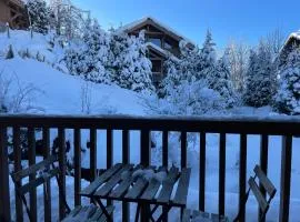 Marmots Clan Megève