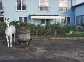 Große 3 Zi Wohnung auf der Pferde Farm