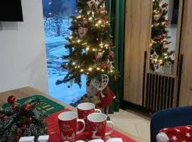 Domek pod Szczyrkiem z ogrodem na wyłączność W CENIE GORĄCA BANIA