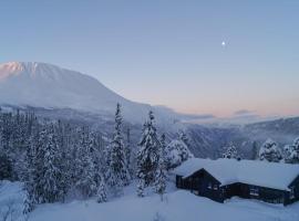 Kotedža Stunning Home In Rjukan With Wifi pilsētā Rjūkana