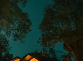 H2H Bir l Nature Camps
