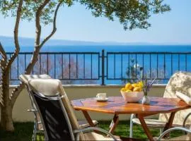 Luxury apartment Roko