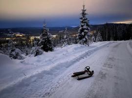 Bed and Breakfast Hadeland, smještaj s doručkom u gradu 'Harestua'