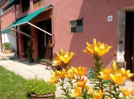 Ecogarden camping with rooms, campsite in Zelarino