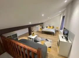 Studio rénové proche palais des sports