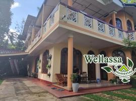 wellassa homestay, будинок для відпустки у місті Бадулла