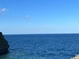 senahahausub03