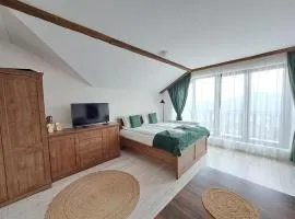 Premium StudioApartment in Borovets Gardens
