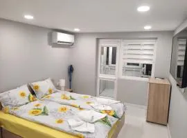 MiniMo