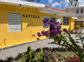 Gavidias Guest House, hotel en San Lorenzo