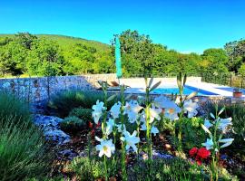 Relaxing Dalmatian house in village, hotel with pools in Ljubitovica