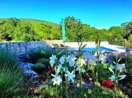 Relaxing Dalmatian house in village