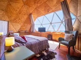 Huiro Lodge Domos y Avistamiento de Fauna Marina