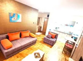 Apartment Vas Raj