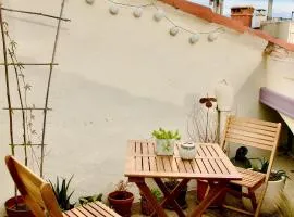 Joli studio avec terrasse-jardin sur les toits, coeur historique
