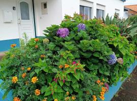 Apartamento da Matilde，位于圣克鲁什达什弗洛里什的公寓