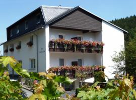 Pension Haus Waldfrieden, MeineCardPlus inklusive, Hotel in Willingen