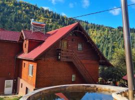 Pensiunea Cabana Viselor – domek górski w Albacu