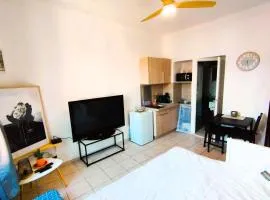 Charming Studio ideal for Congresses and Holidays LIVE IN GAZAGNAIRE