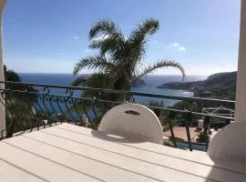 Il Pino “Villa Nunzia”