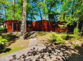 Wooden Nature Chalet - Dennenrhode Doornspijk, cabin in Doornspijk