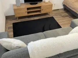 Studio bien situé & tout équipé dans une maison