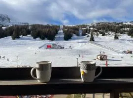 Le Vert Montagne Studio lumineux plein sud