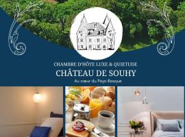 Château de Souhy, hotel with parking in Urcuit