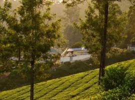 Munnar Valley View