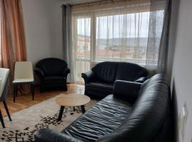 Apart Ovi, apartamento en Floreşti