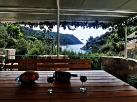 House ,, Plavi biser ''