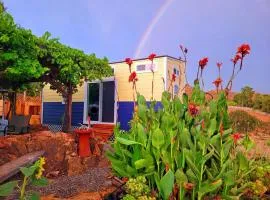 TinyHome at the Sanctuary